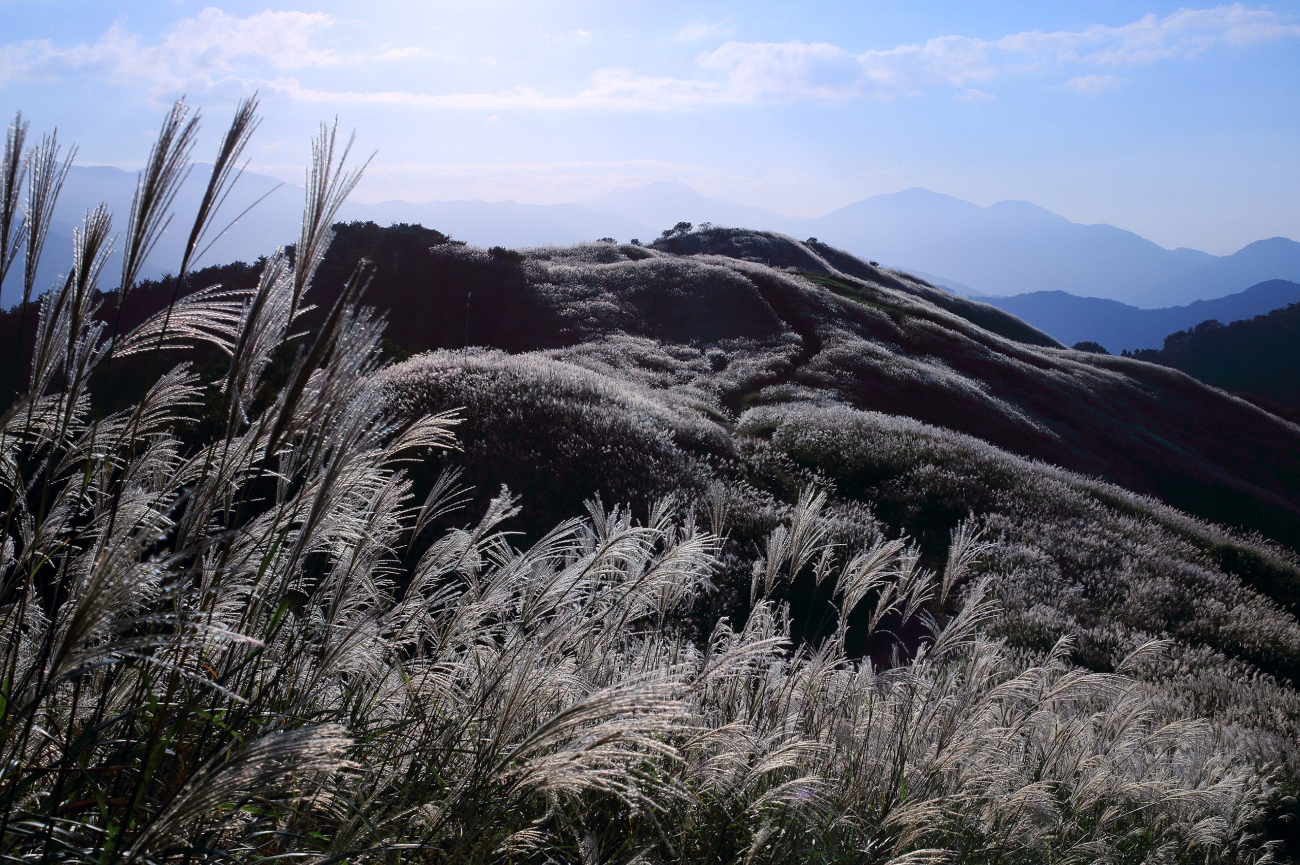 歴代フォトコン入賞作品のイメージ